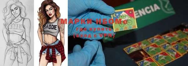 ECSTASY Алзамай