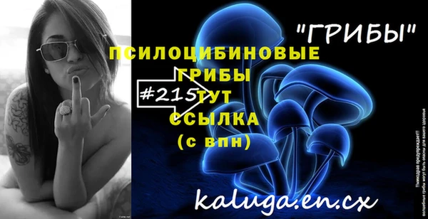 хмурый Абдулино