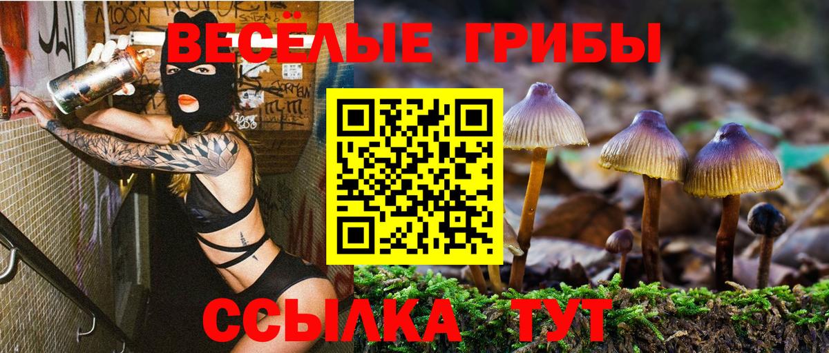 Псилоцибиновые грибы MAGIC MUSHROOMS  Псилоцибиновые грибы MAGIC MUSHROOMS  Ангарск  Вход с VPN 